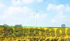国产av天堂亚洲av麻豆-国产影视探索的多元化视角，国产AV与亚洲影视新生态