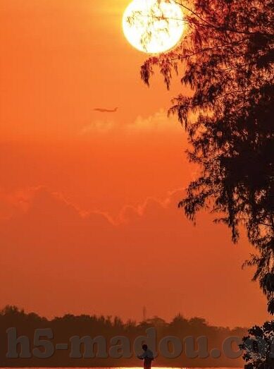 国产果冻剧传媒-国产果冻剧传媒，文化软实力与年轻市场的甜蜜碰撞